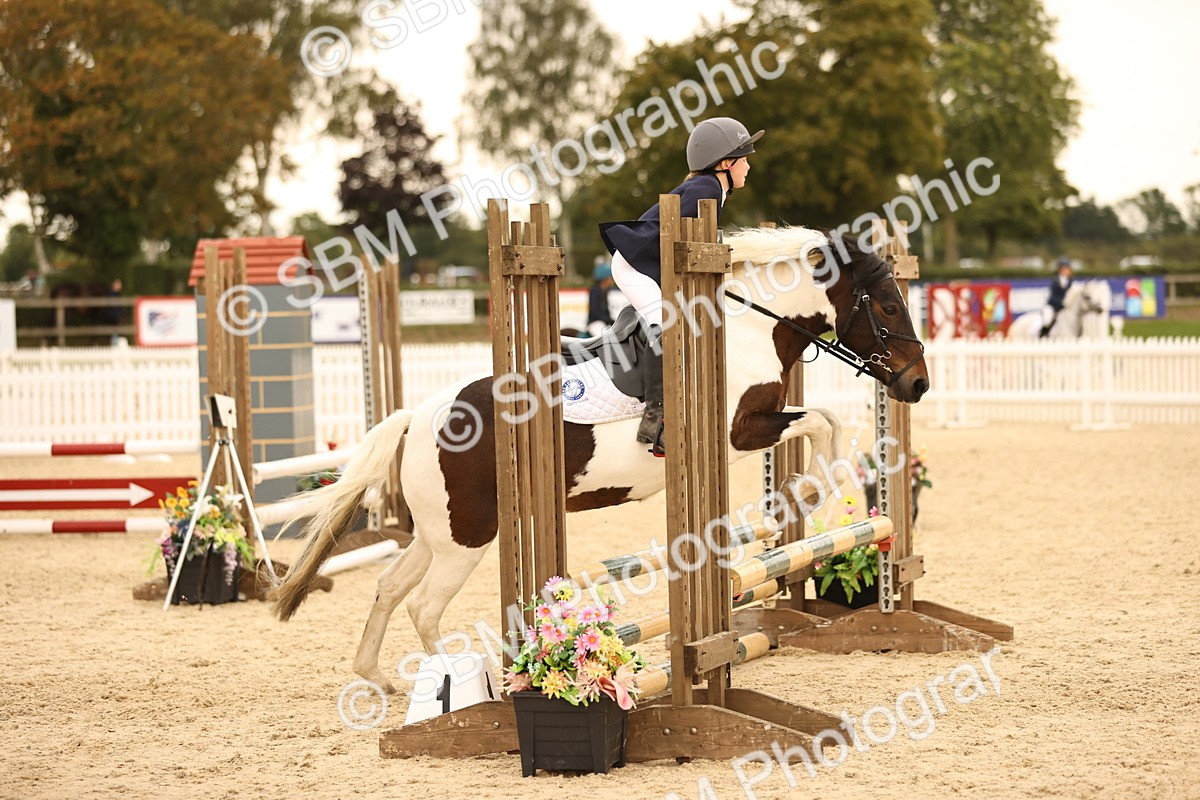 SBM_74248 - J14 - Junior Pony 65cm Championship