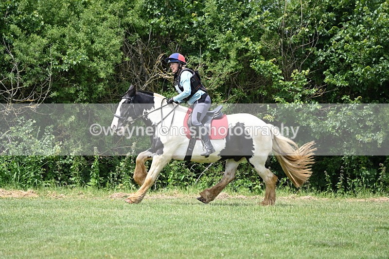 WJ6_3512 - Class 4 60cm