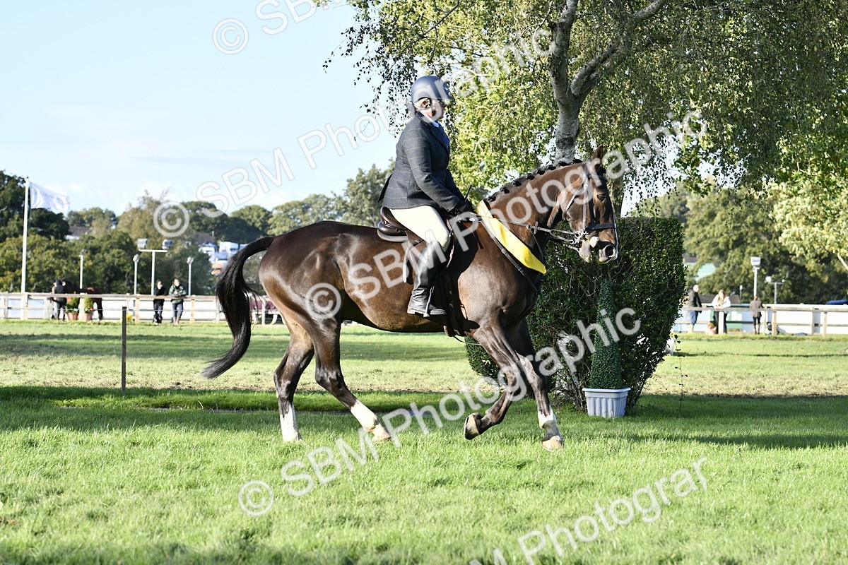 SBM_51706 - Working Hunter Supreme Championship