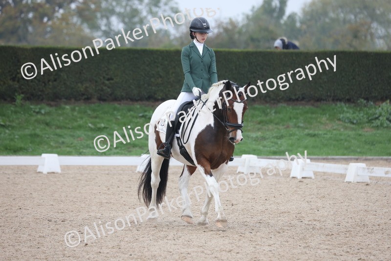 20251012-0572 - Class 5 - Elementary 5