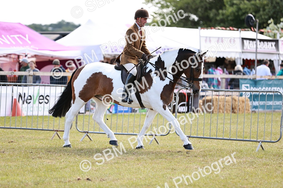 SBM_14006 - Class 85-87 - RIHS Cobs