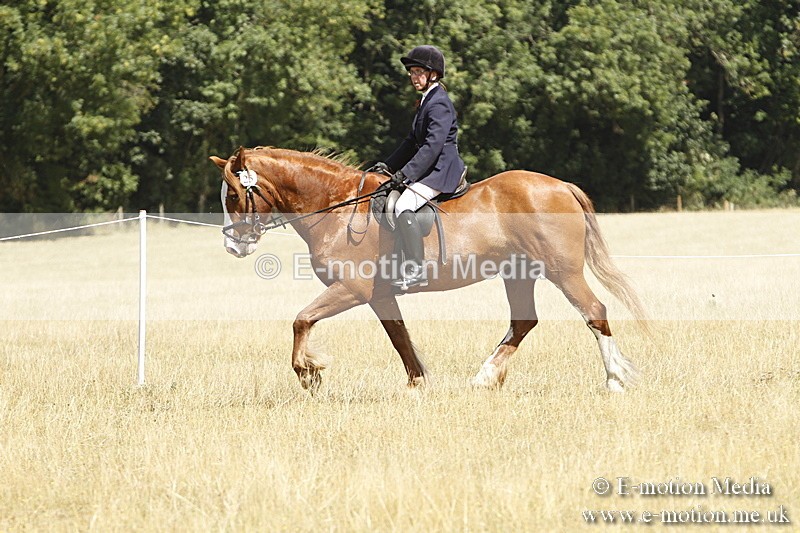 _BS_0758 - BVRC Show 2018 Ring 1