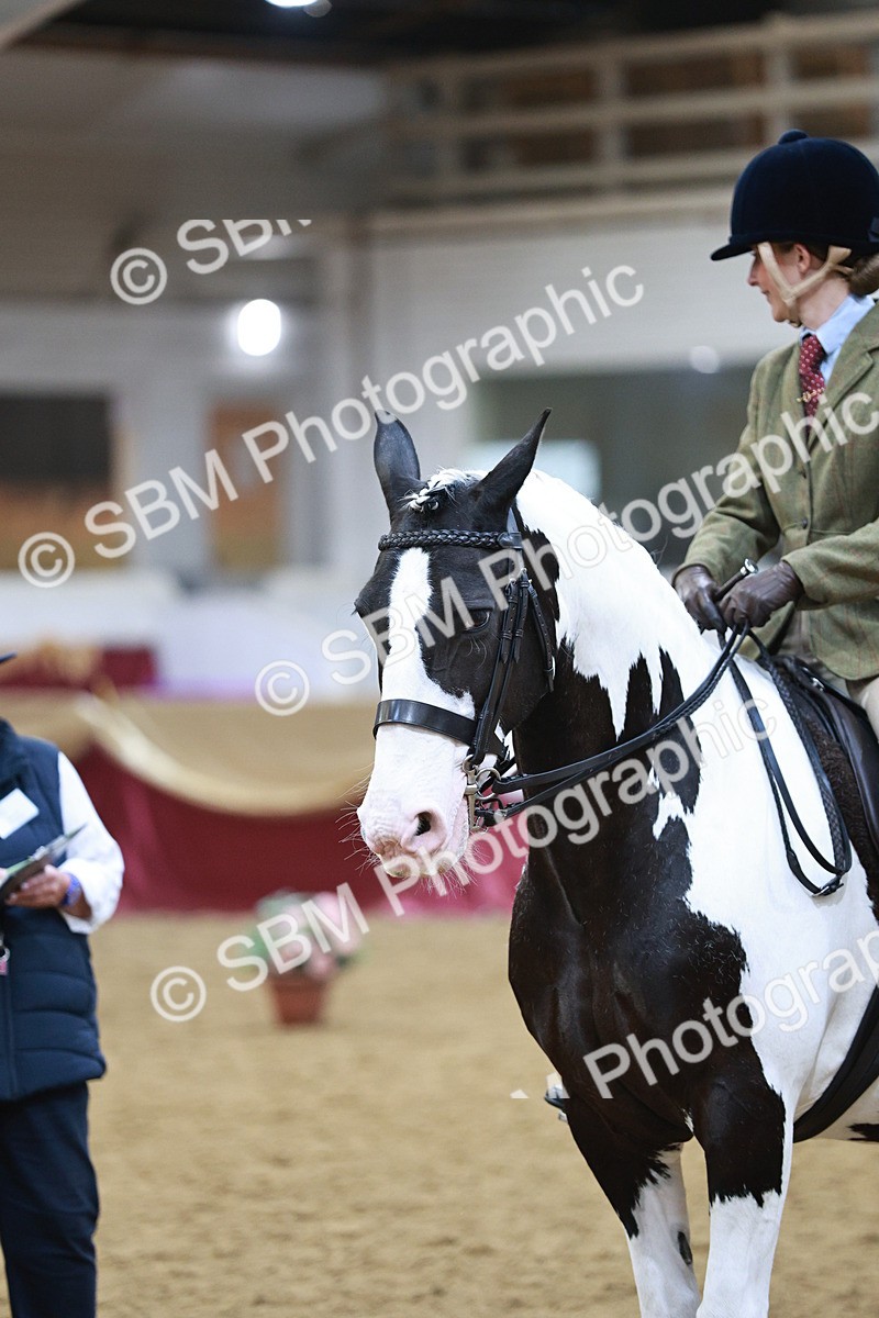SBM_09103 - Class 12R - Regional Ridden Pre-Vet
