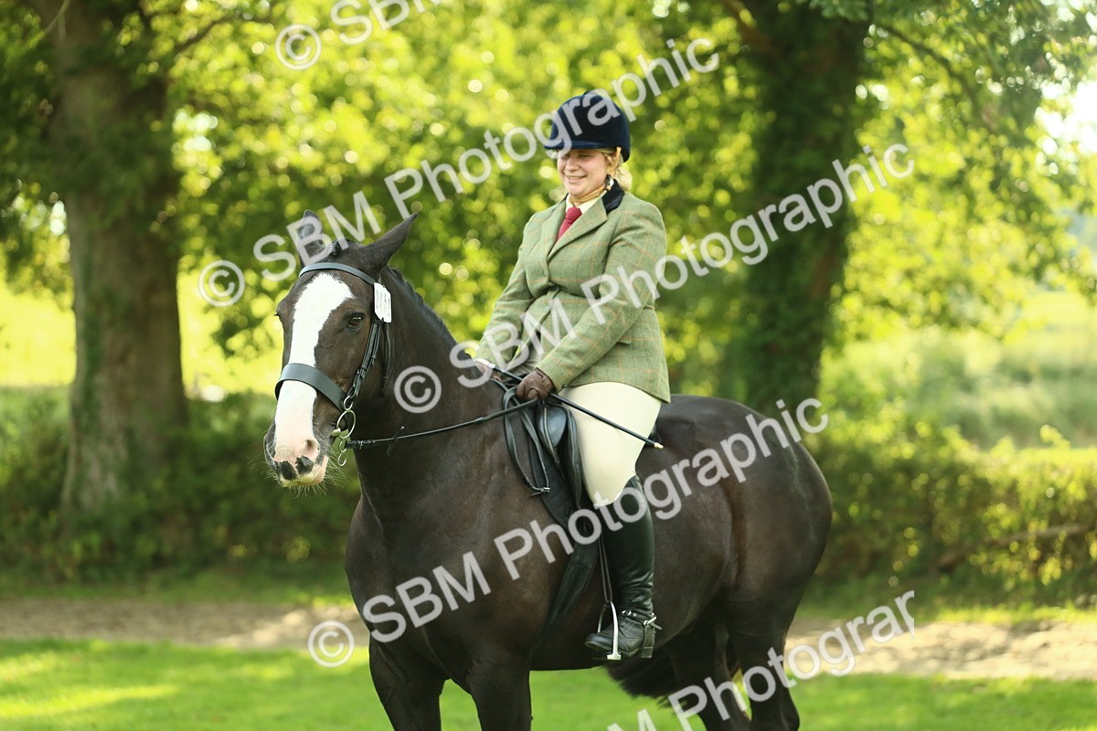 SBM_52174 - S33 - Working Hunter & Working Show Horse