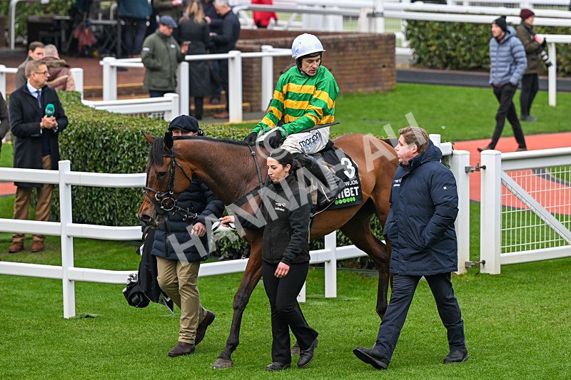 240126-Race 6-The New Lion-7536 - Race 6