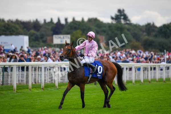 240823-Race 4-Warm Heart-0548 - Race 4 3.35pm Pertemps Network Yorkshire Oaks