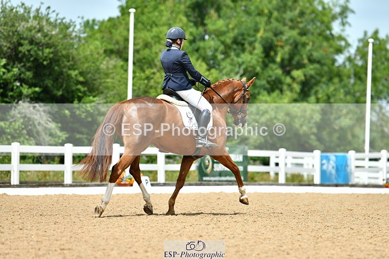 230702A-133011-10024 - Cls 31 Medium 69