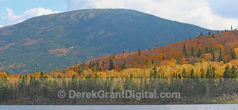 NB Autumn Foliage Mount Sagamook Mt Carleton Provincial Park - Autumn Foliage