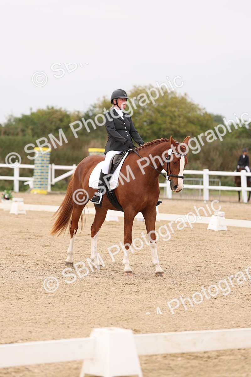 SBM_01467 - Class 9 - Novice 27 Champs