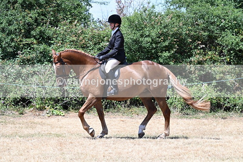 WJ7_2755 - Class 7 Riding Club Show Horse