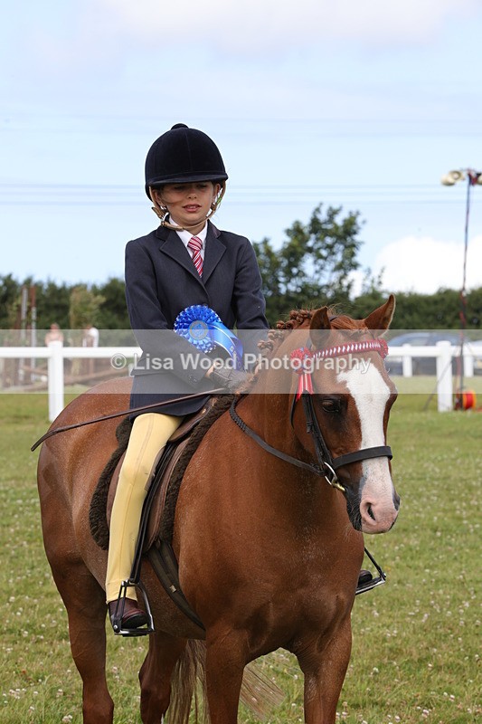 1X9A3930 - Class 31: Show Pony 148cm and under