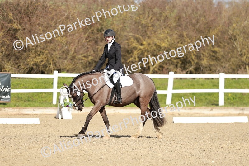 20260314-4350 - DR4 - Prelim 2