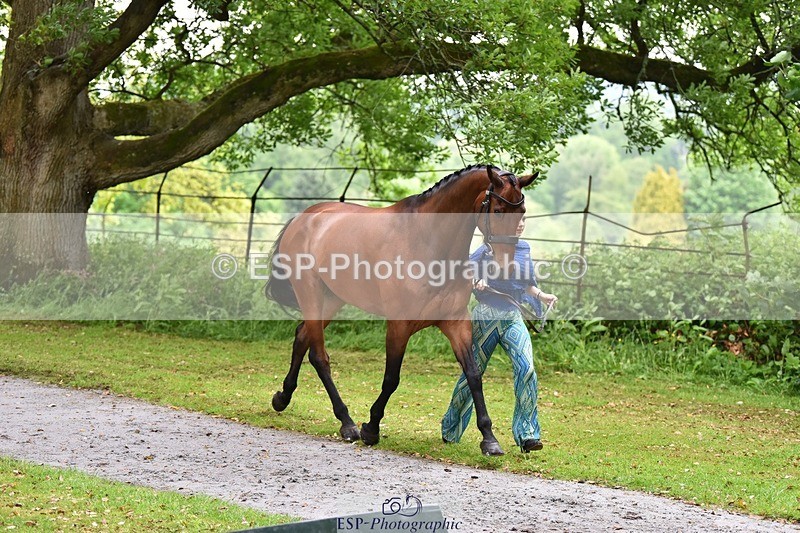 240522-160648-00722 - 154-K-Anya_Strilkowski