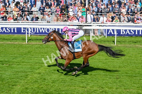 160525-Race 6-Bowmark-7189 - Race 6 4.55pm Darley EBF 'Confined' Novice Stakes