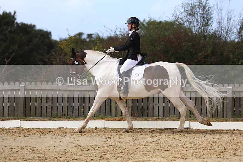 3E7A4158 - Class 9: Novice 6 Section B Championship