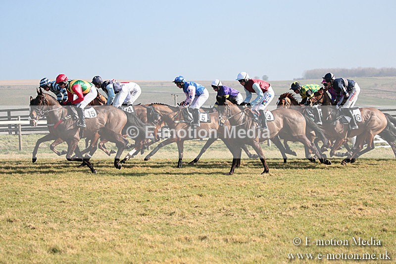 PtP 230219 58 - Vine & Craven Point-To-Point - Barbury 23/02/19