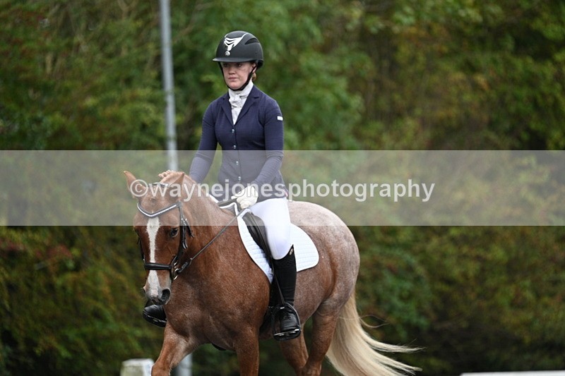 WJ7_3285 - Time 09:54 to 10:54