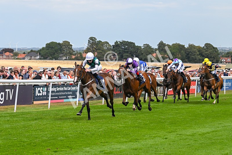 140825-Race 1-Catching The Moon-0282 - Race 1