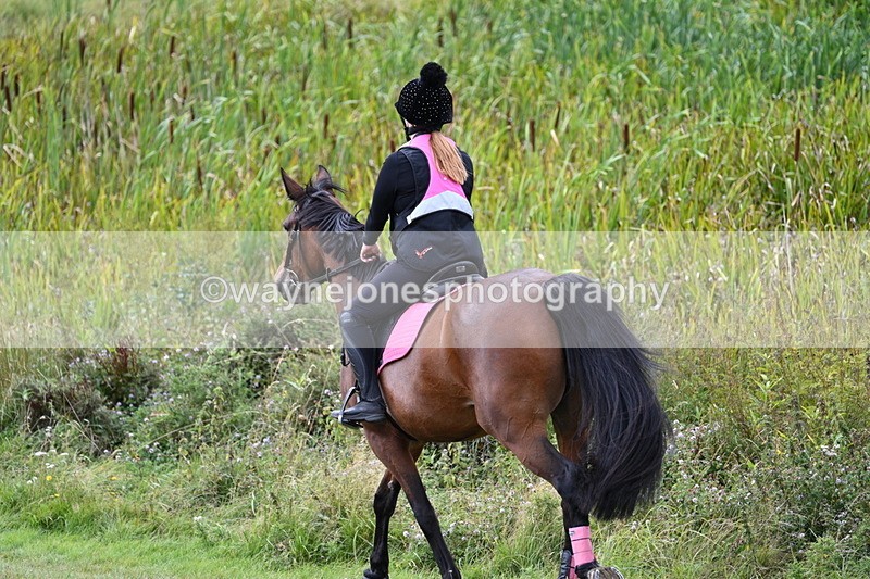 WJ7_6075 - Time 11:50 to 12:09