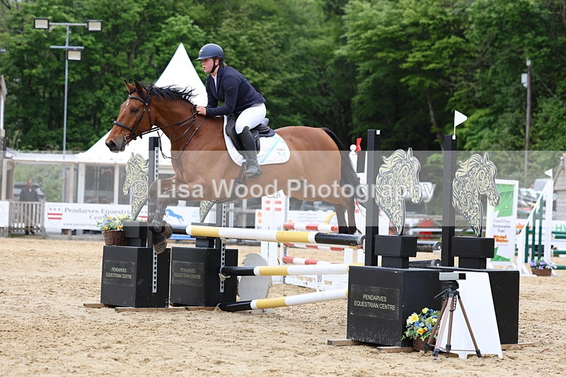 3E7A6391 - Class 4: Senior British Novice/90cm open
