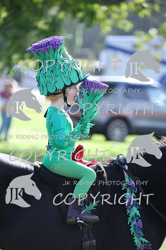 APP_4091 - Class 19 Fancy dress