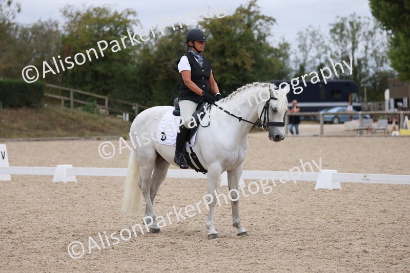 20250820-1006 - Class 16 - Novice 5