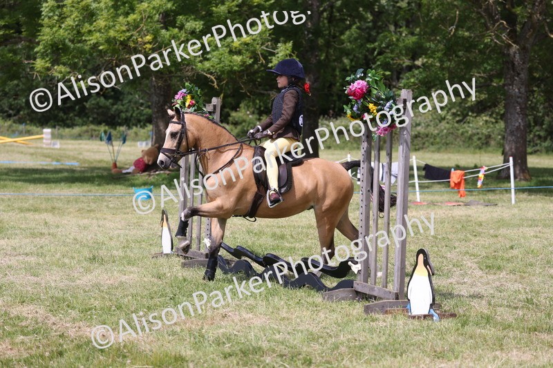 20260614-1899 - Class 21 - Novice Working Hunter Pony