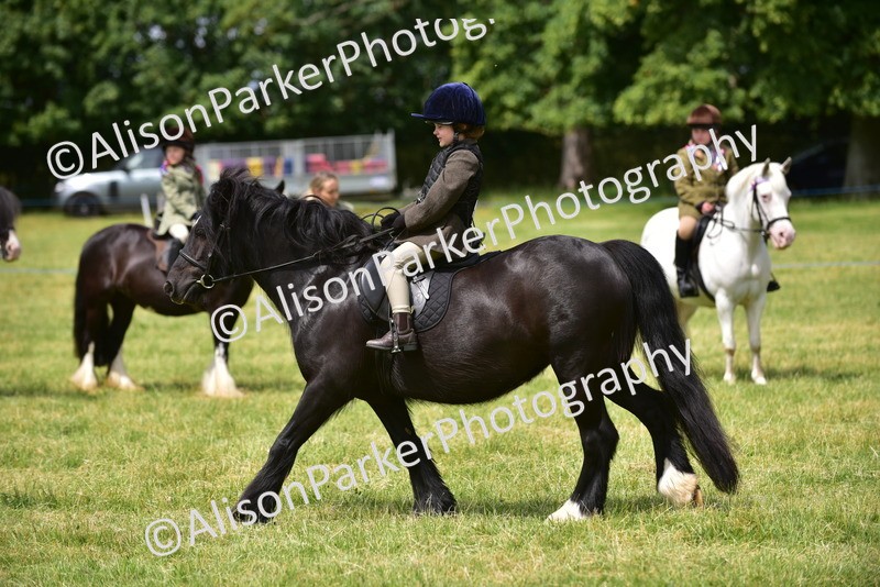 20260614-3652 - Class 15 - Prettiest Mare