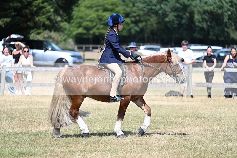 WJ7_3381 - Class 8 Ridden Veterans