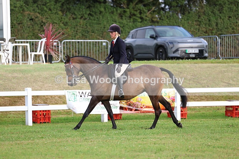 3E7A7805 - Class 1: Rising Star Small Hack/Riding Horses