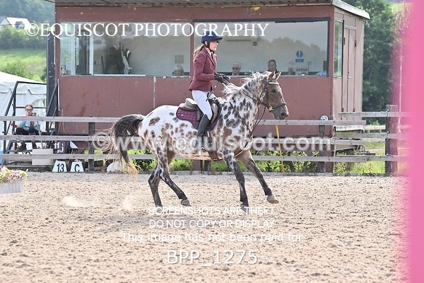 BPP_1275 - CLASS 3 Senior BritiNovice/ 90cm Open