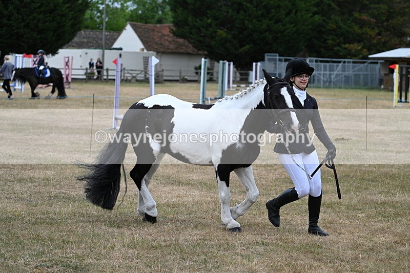 WJ7_8378 - Class 4 Prettiest Mare up to 14.2hh