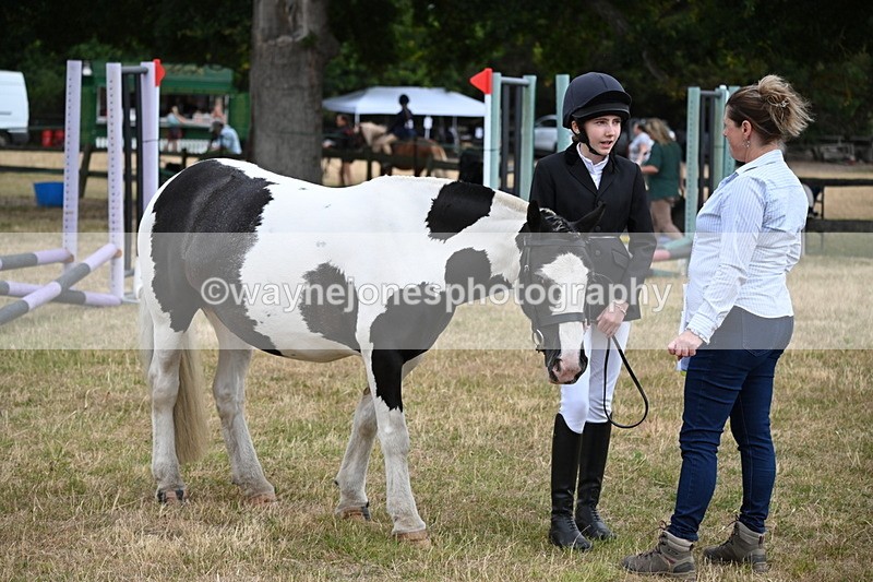 WJ6_4208 - Class 10 Coloured In-hand