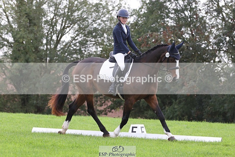 231019-151337-04798 - 449-INDI-Grace.Gillard-DR