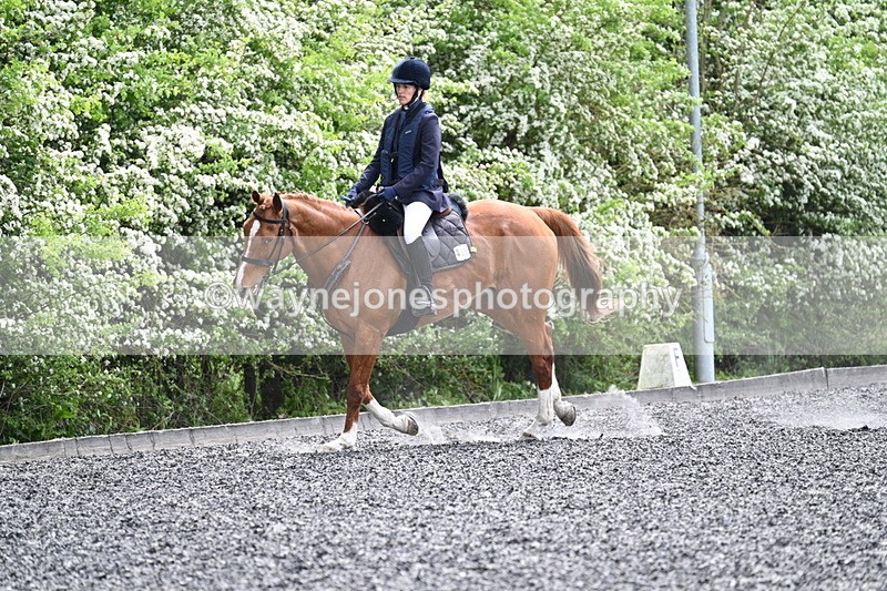 WJ7_0814 - Time 14:01 to 14:12