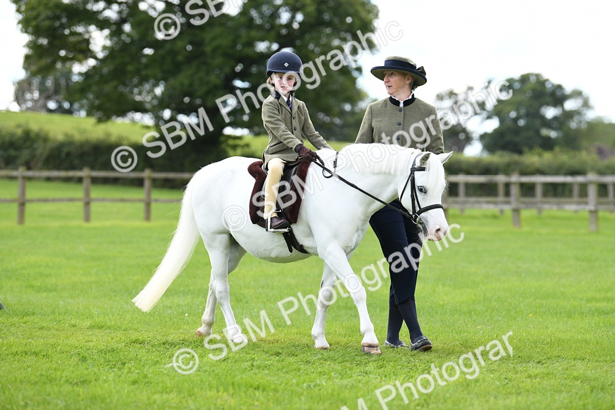 SBM_42421 - S20 - Lead Rein Mountain & Moorland Pony
