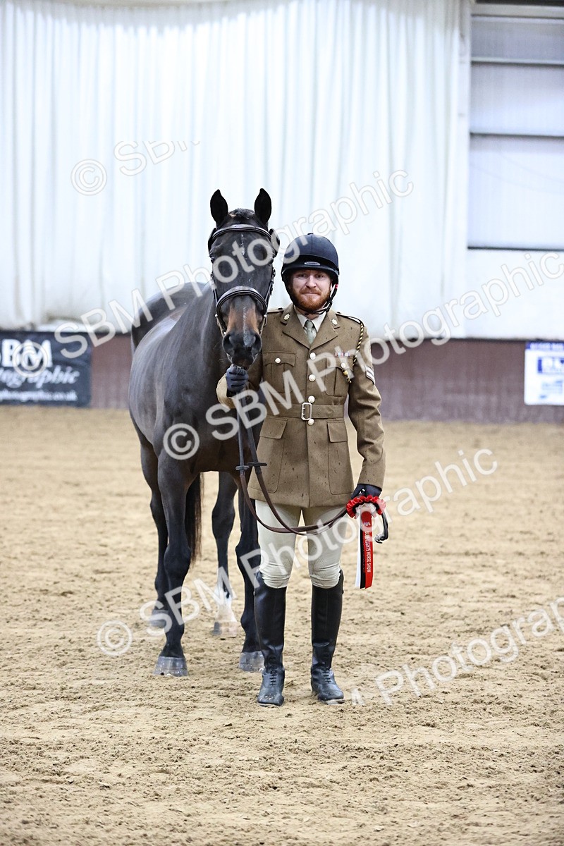 SBM_5221 - Class 39 - In Hand Gelding