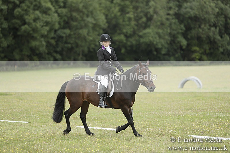 BVR160717-1147 - Class 2 Dressage 16/07/17