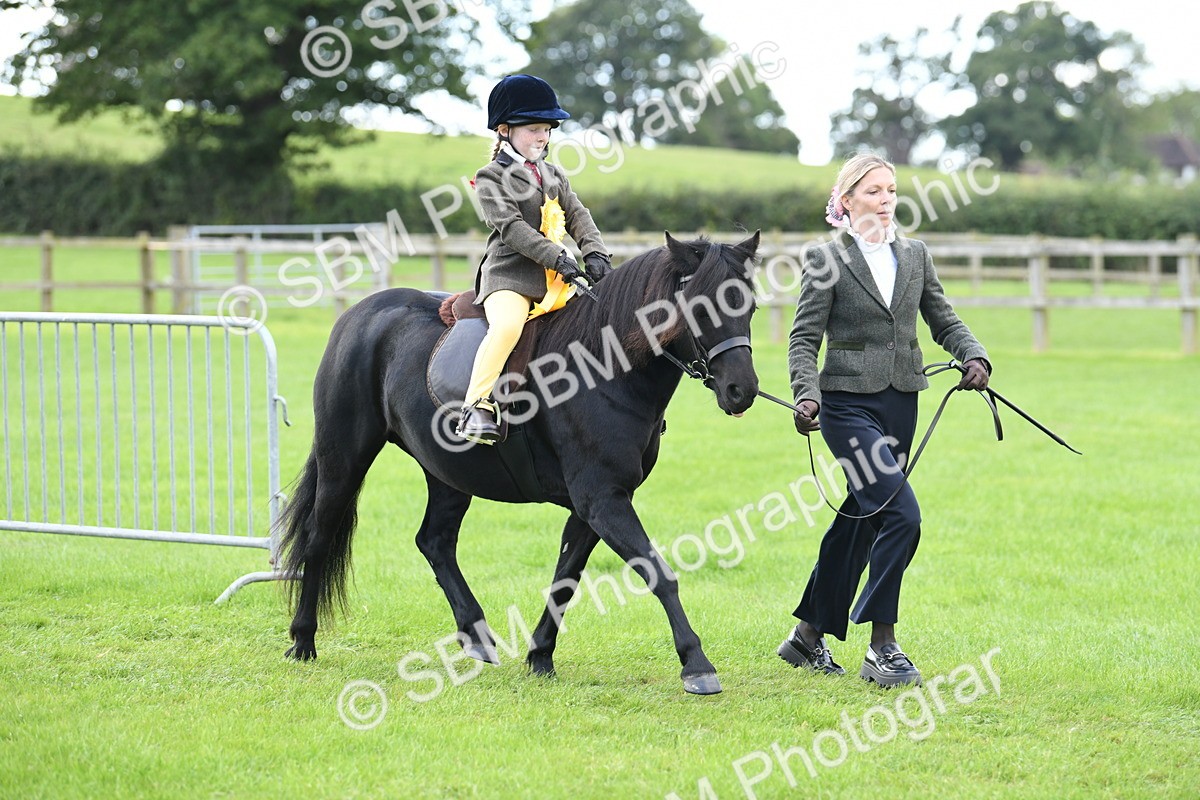 SBM_42706 - S20 - Lead Rein Mountain & Moorland Pony