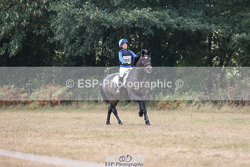 250824A-125521-36755 - 2053-Ava.Sampson-Chameleon