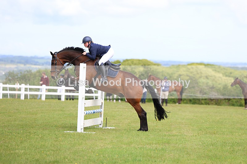 3E7A7559 - Class 13: Senior British Novice/90cm open