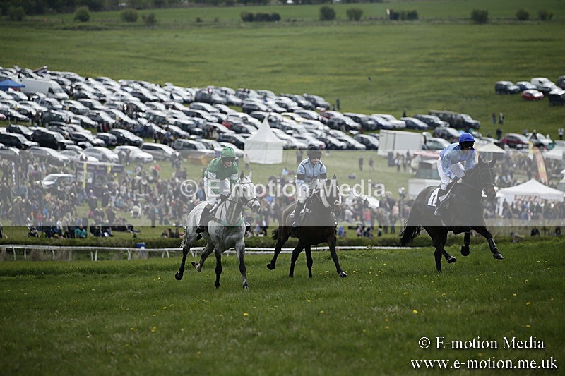 PtP 170417 68 - Old Berks Point-to-Point Lockinge 17/04/17