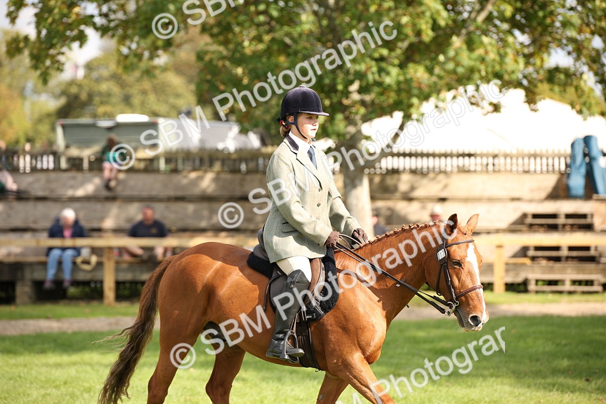 SBM_50042 - S26 - Young Veteran - Ridden