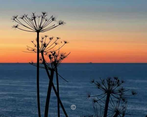 Sunrise, Old Portlethen. - Old Portlethen Village photographs.