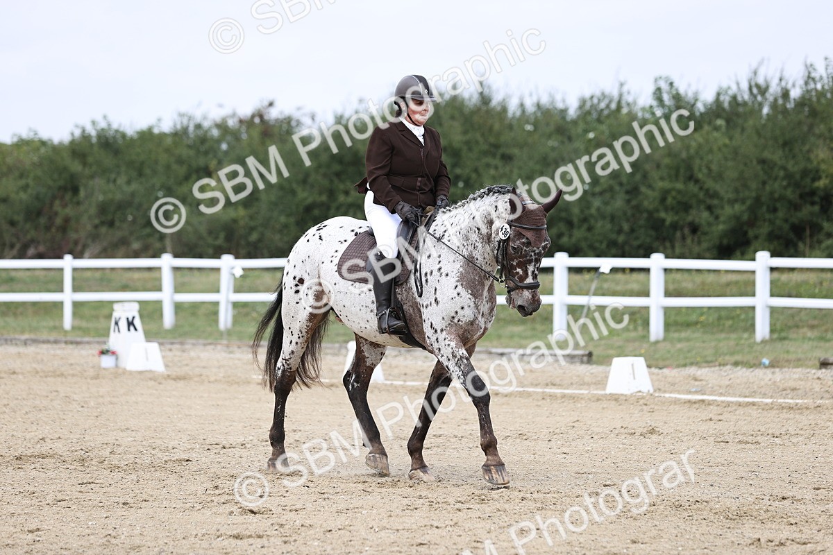 SBM_016860 - Class 14 Novice 23 - 11.53-12.56