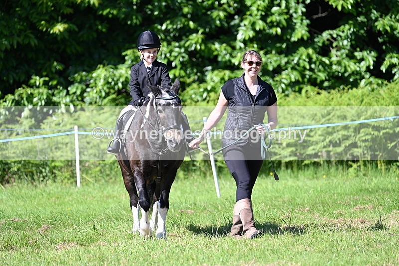 WJ7_0466 - Class 8 First Rally Pony