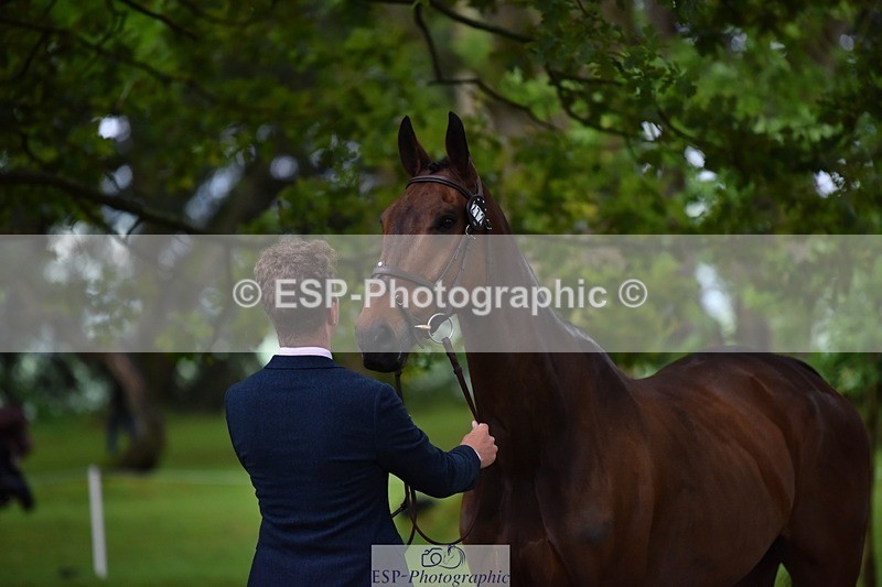 240522-165836-01295 - 272-PRIORSPARK_ROYAL_RIFF-RAFF-Jesse_Campbell