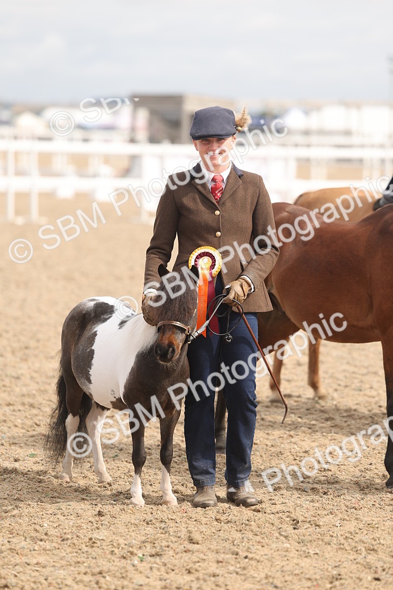 SBM_04582 - Class 19 - Horse/Pony Judge would most like to take home