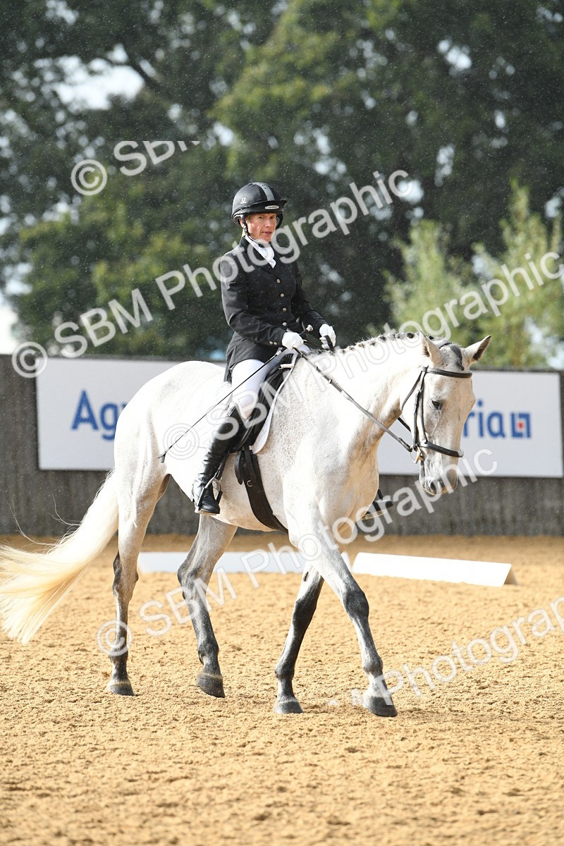 SBM_11146 - D28 Elementary Taster Elementary 42