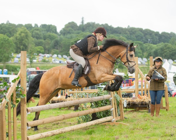 Dunblane show-525 - Dunblane and Doune Show Ring 1